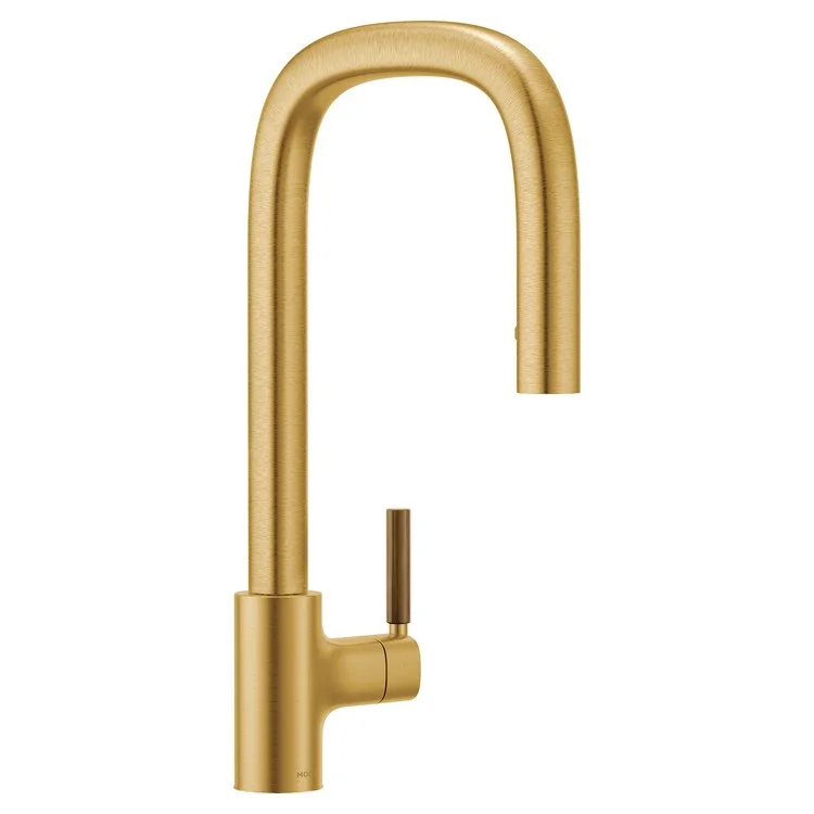 Kitchen Faucet Tenon 1 Lever ADA Brushed Gold High Arc 1 Hole 1.5 Gallons per Minute